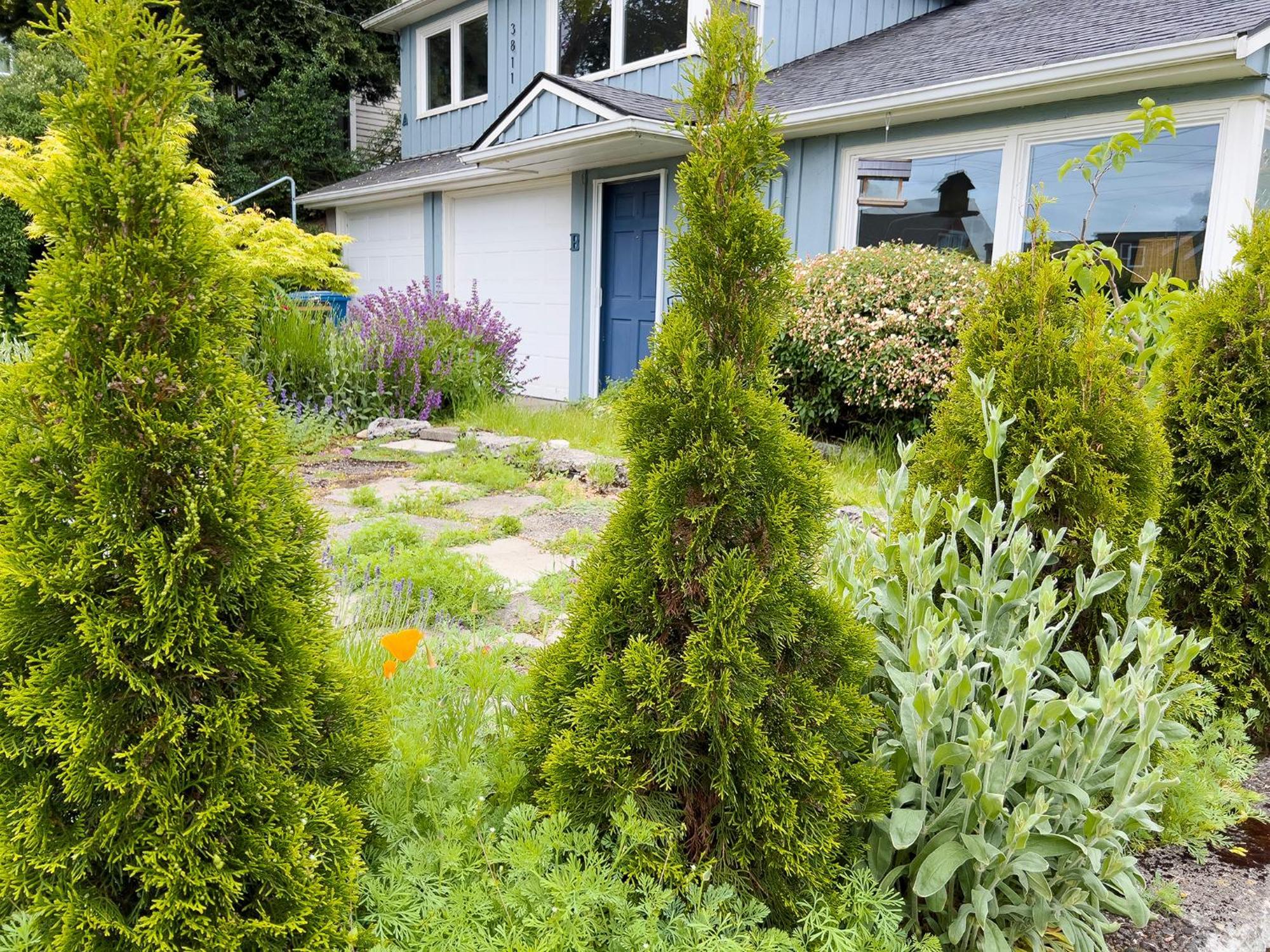 Magnolia Garden Cottage Seattle Extérieur photo